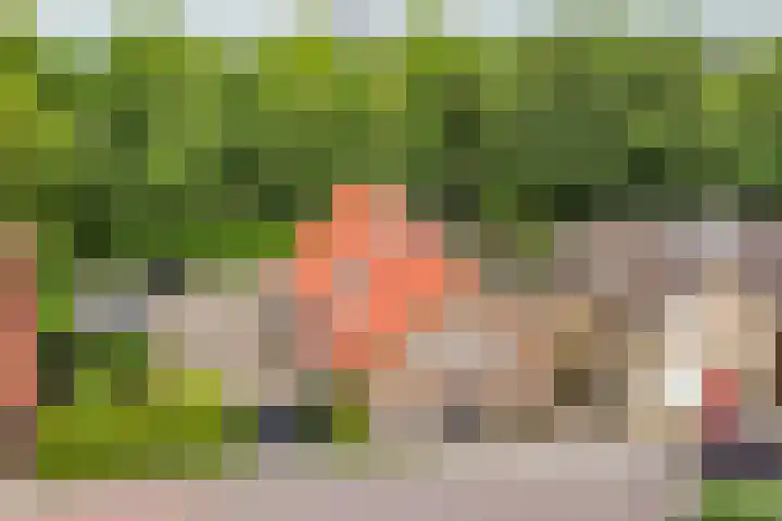 Eerste Zeine 10 b Waalwijk thumbnail 53