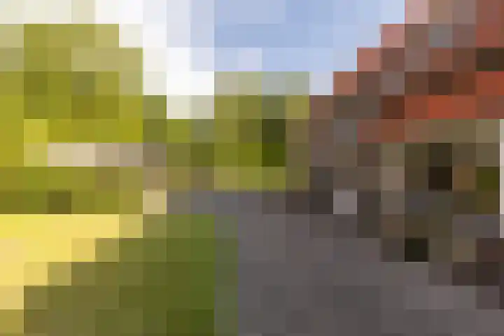 Eerste Zeine 10 b Waalwijk thumbnail 6