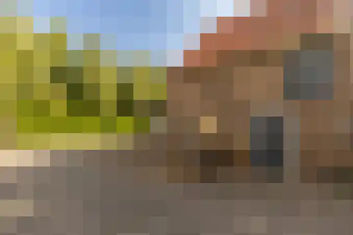 Eerste Zeine 10 b Waalwijk thumbnail 7