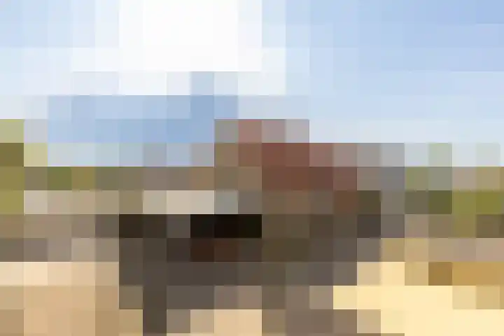 Eerste Zeine 10 b Waalwijk thumbnail 8