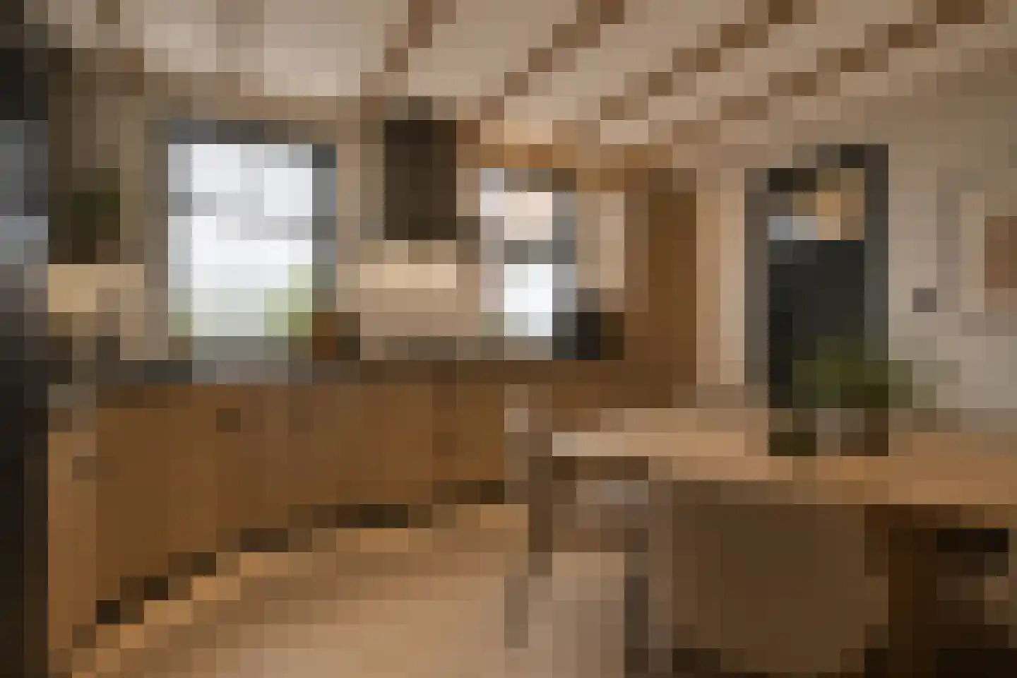 Eerste Zeine 118 Waalwijk thumbnail 13