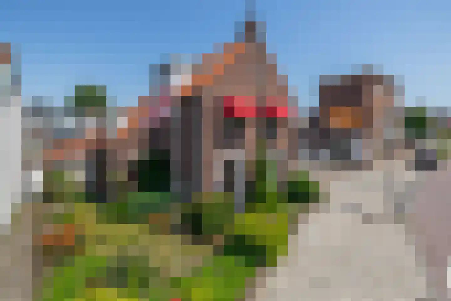 Eerste Zeine 118 Waalwijk foto 2