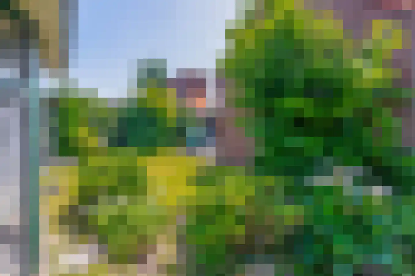 Eerste Zeine 118 Waalwijk thumbnail 21