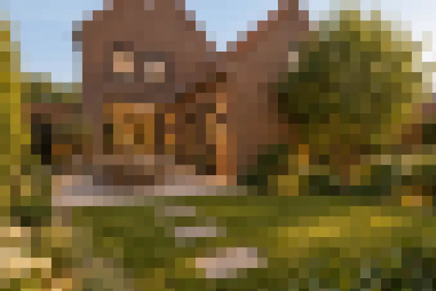 Eerste Zeine 118 Waalwijk thumbnail 22