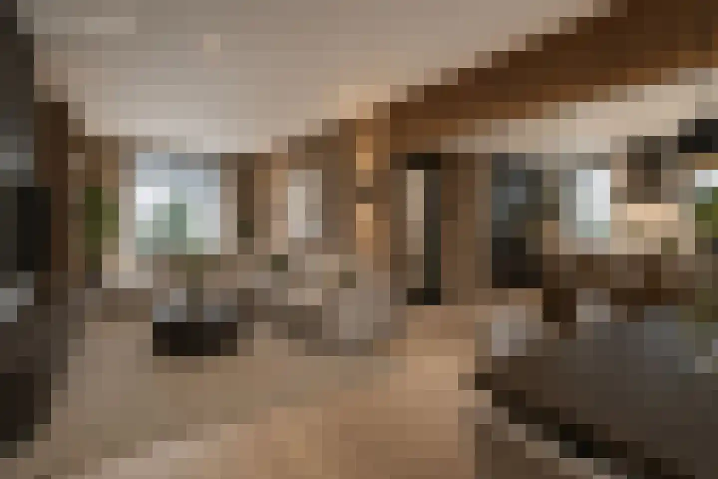 Eerste Zeine 118 Waalwijk thumbnail 5