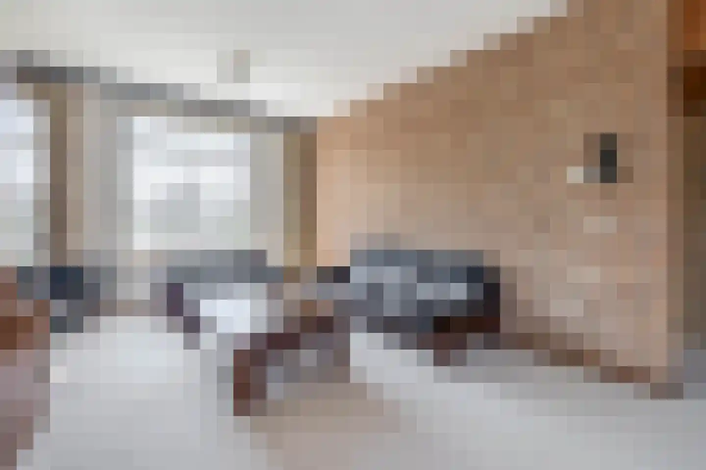 Eerste Zeine 118 Waalwijk thumbnail 9