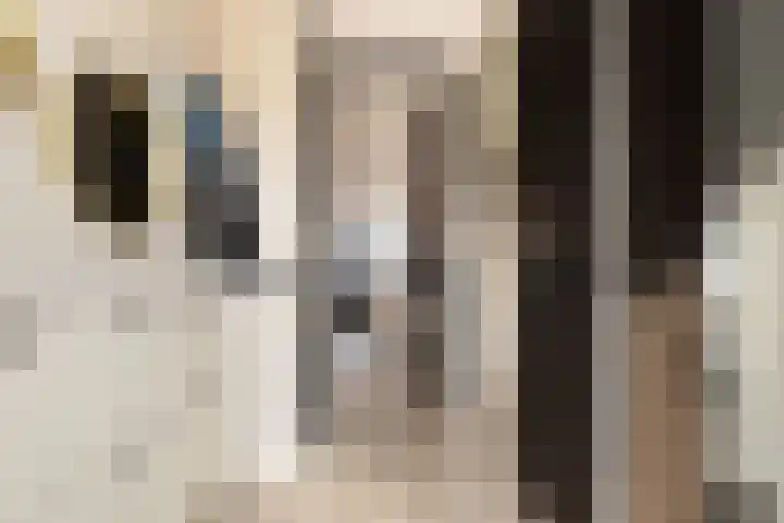 Eerste Zeine 136 Waalwijk thumbnail 10