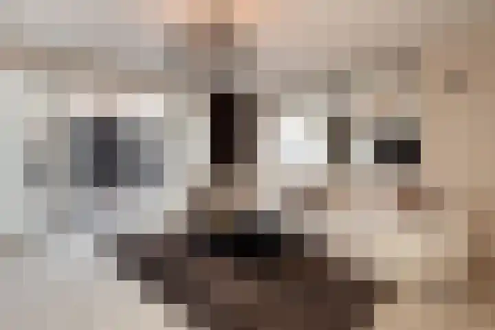 Eerste Zeine 136 Waalwijk thumbnail 12