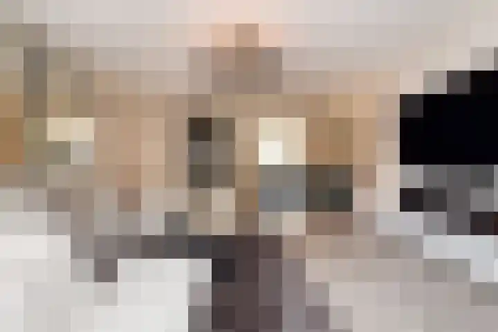 Eerste Zeine 136 Waalwijk thumbnail 13