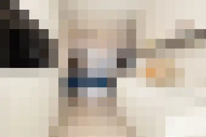 Eerste Zeine 136 Waalwijk thumbnail 16