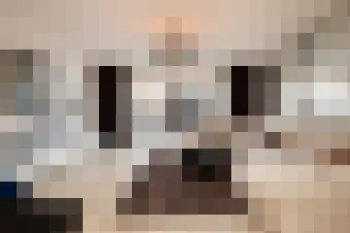 Eerste Zeine 136 Waalwijk thumbnail 18
