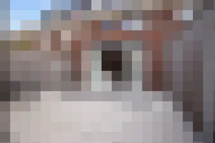 Eerste Zeine 136 Waalwijk thumbnail 21