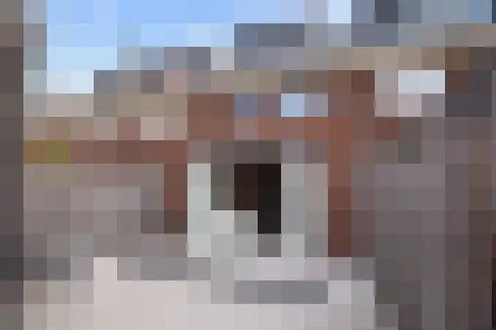 Eerste Zeine 136 Waalwijk thumbnail 22