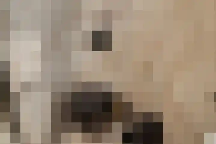 Eerste Zeine 136 Waalwijk thumbnail 30