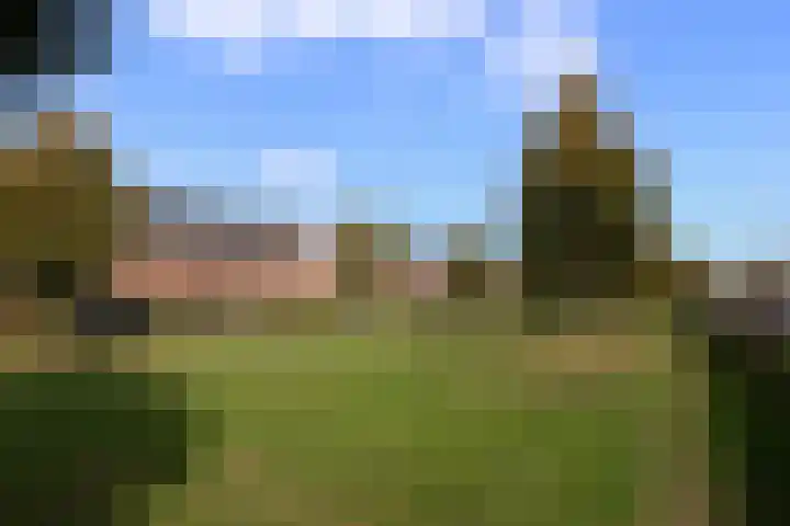 Eerste Zeine 136 Waalwijk thumbnail 5