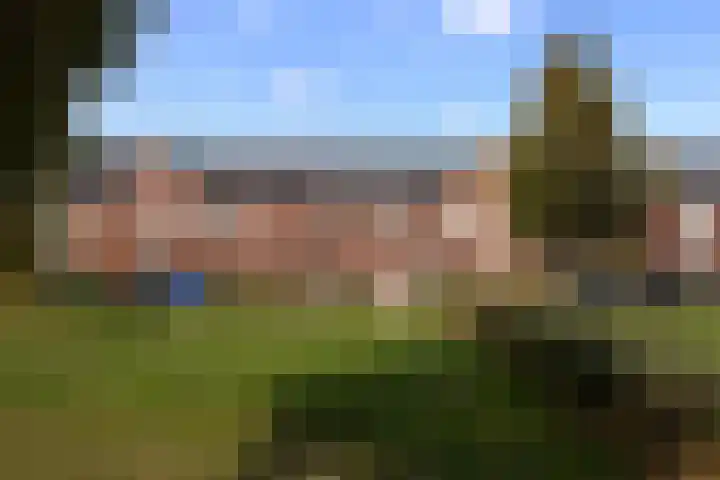 Eerste Zeine 136 Waalwijk thumbnail 6