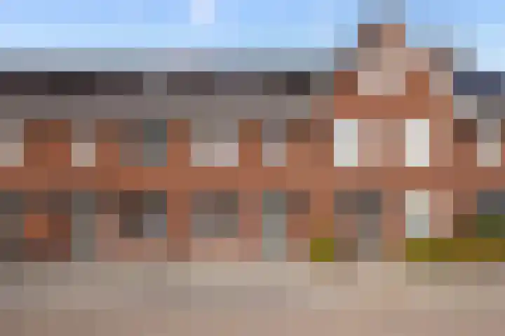 Eerste Zeine 136 Waalwijk thumbnail 7