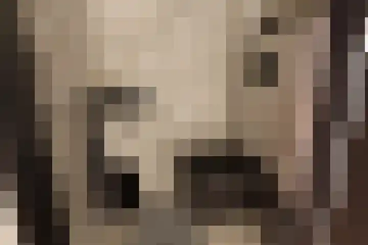 Eerste Zeine 136 Waalwijk thumbnail 9
