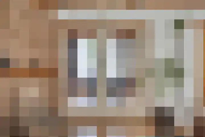 Eerste Zeine 34 Waalwijk thumbnail 10