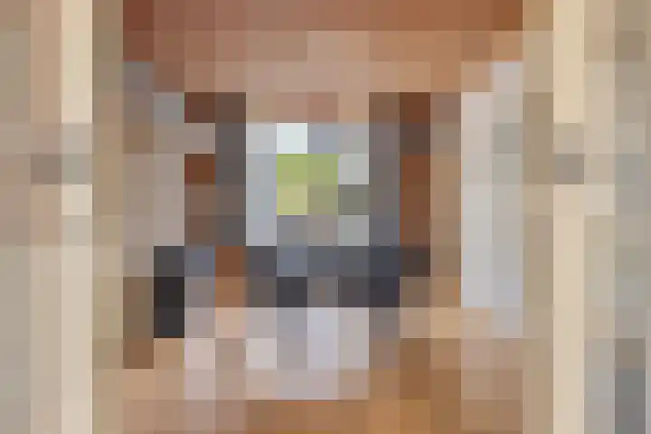 Eerste Zeine 34 Waalwijk thumbnail 11
