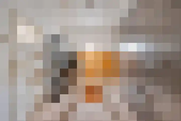Eerste Zeine 34 Waalwijk thumbnail 19