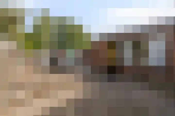 Eerste Zeine 34 Waalwijk thumbnail 22