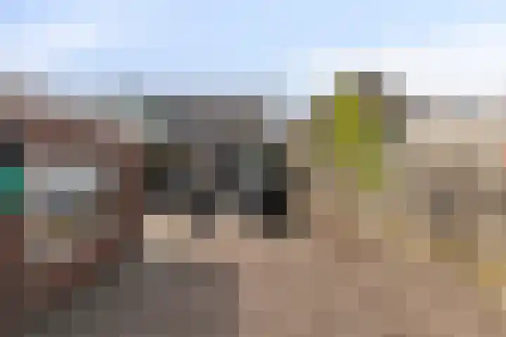 Eerste Zeine 34 Waalwijk thumbnail 23