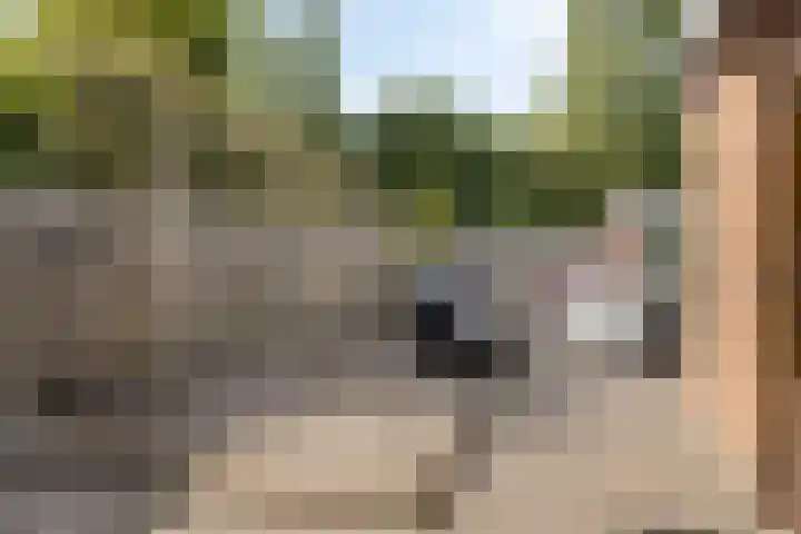 Eerste Zeine 34 Waalwijk thumbnail 25