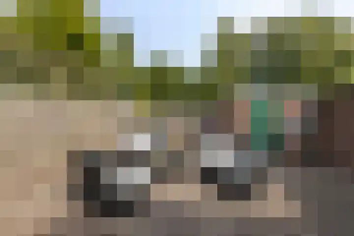 Eerste Zeine 34 Waalwijk thumbnail 26