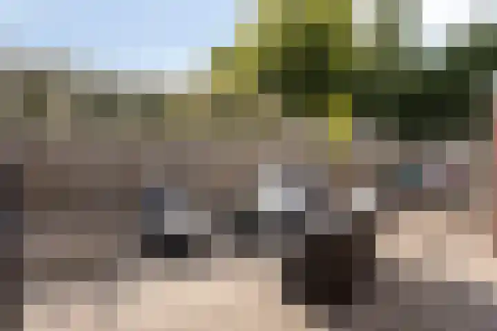 Eerste Zeine 34 Waalwijk thumbnail 27