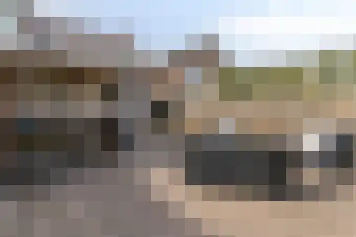 Eerste Zeine 34 Waalwijk thumbnail 28