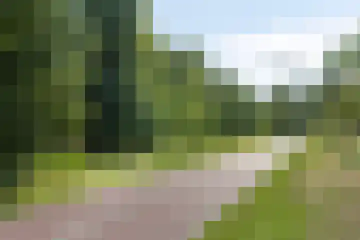 Eerste Zeine 34 Waalwijk thumbnail 32