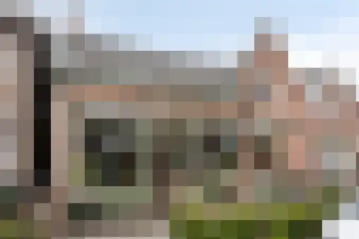 Eerste Zeine 34 Waalwijk thumbnail 33
