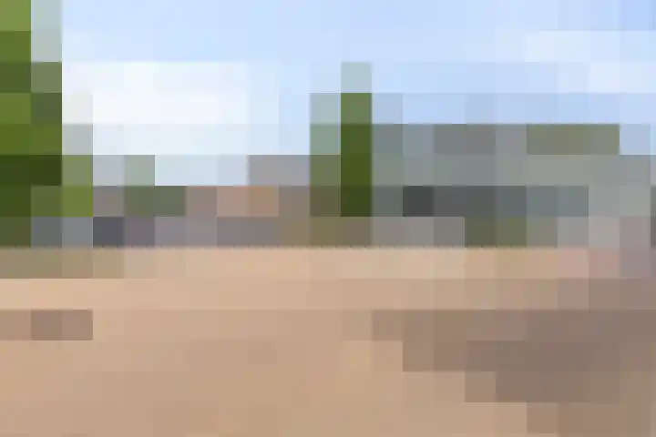 Eerste Zeine 34 Waalwijk thumbnail 35