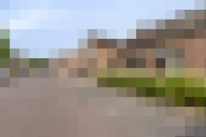 Eerste Zeine 34 Waalwijk thumbnail 36