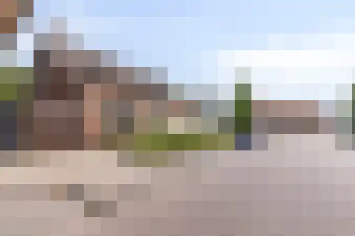 Eerste Zeine 34 Waalwijk thumbnail 37
