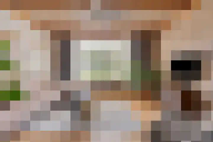 Eerste Zeine 34 Waalwijk thumbnail 5
