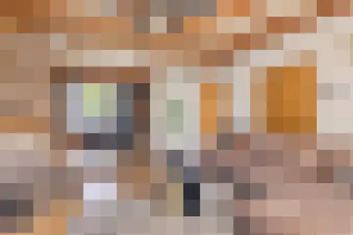 Eerste Zeine 34 Waalwijk thumbnail 8