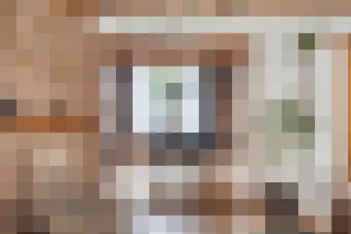 Eerste Zeine 34 Waalwijk thumbnail 9