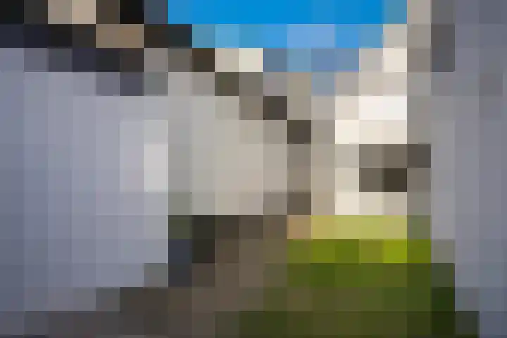 Eerste Zeine 43 Waalwijk thumbnail 32