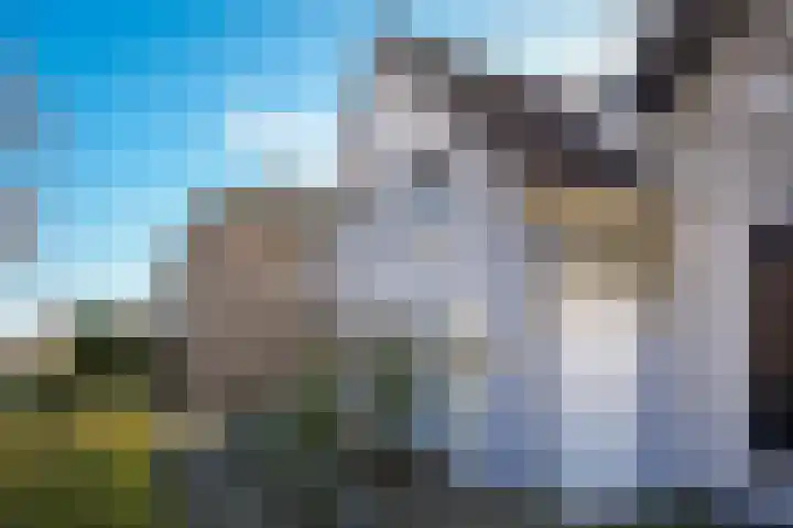 Eerste Zeine 43 Waalwijk thumbnail 34