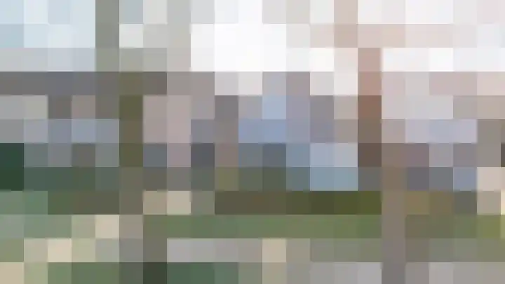 Eerste Zeine 43 Waalwijk thumbnail 37