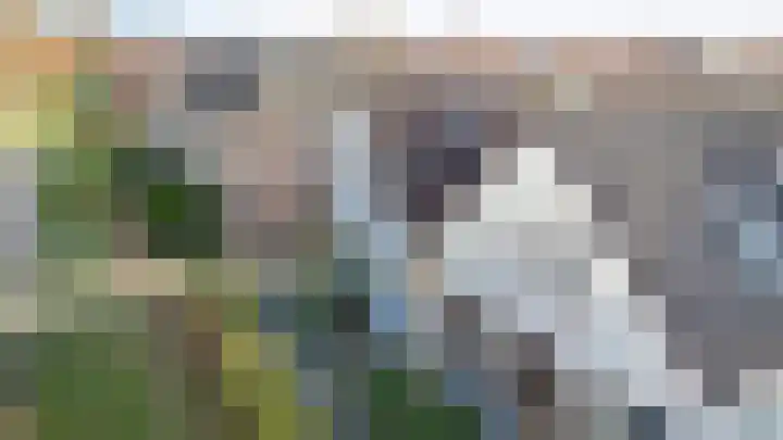 Eerste Zeine 43 Waalwijk thumbnail 38