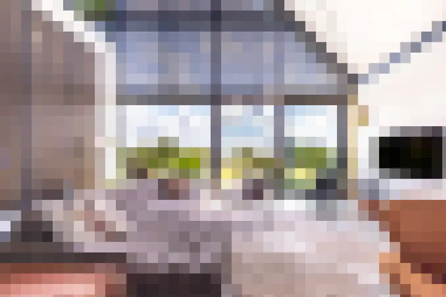 Eersteling 10 Brielle thumbnail 10