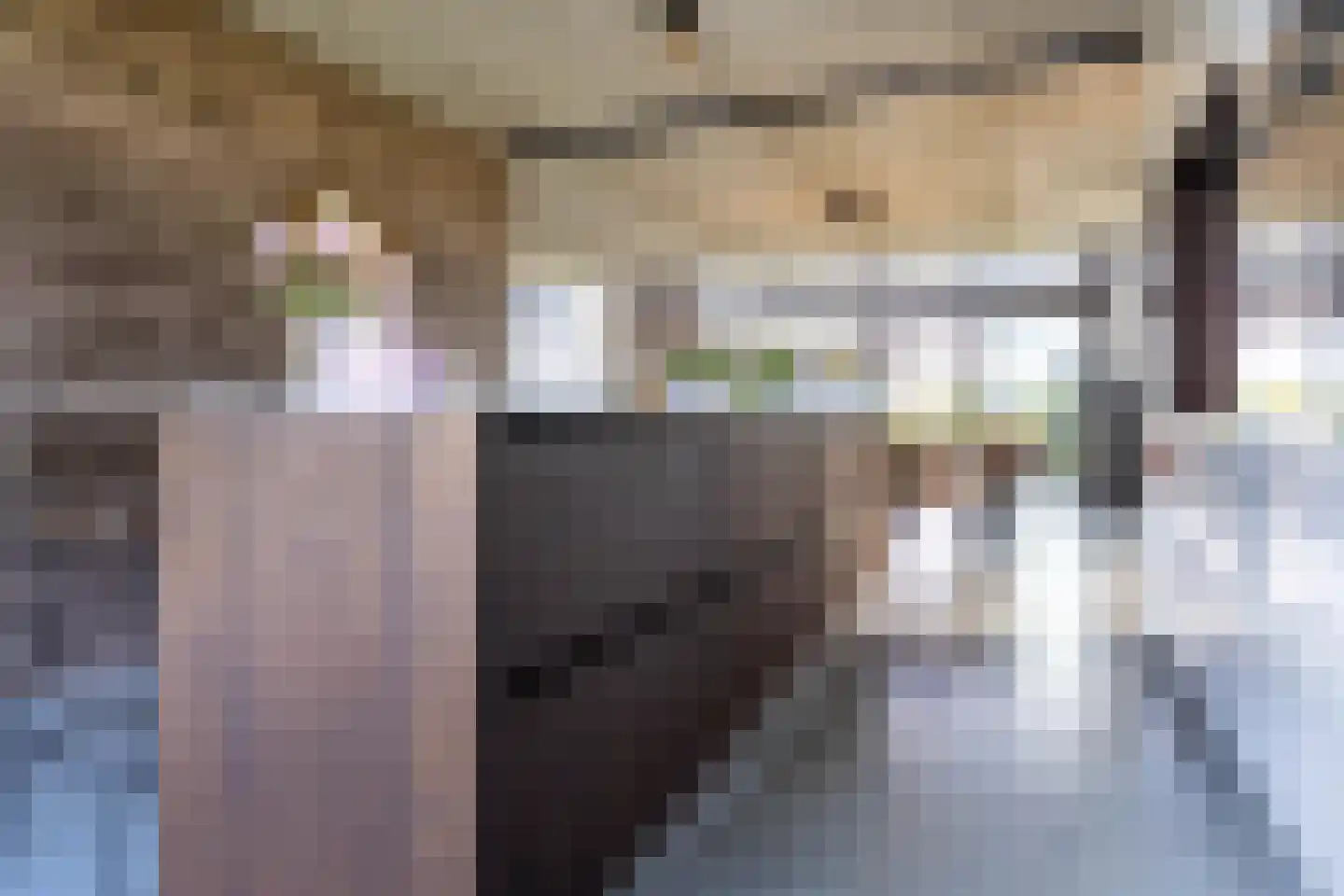 Eersteling 10 Brielle thumbnail 18
