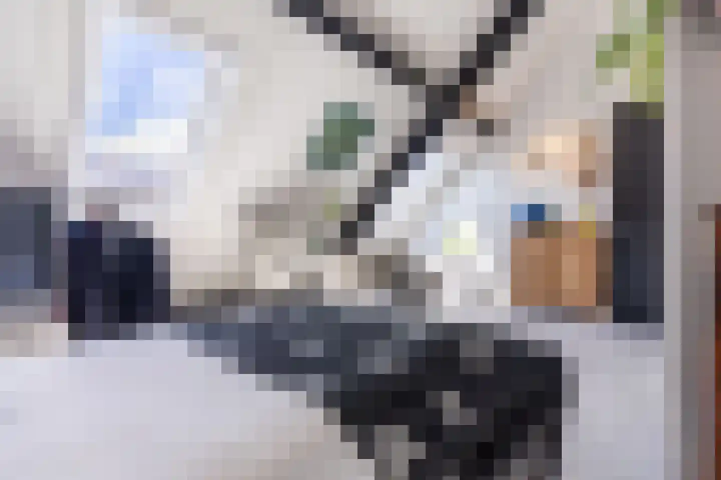 Eersteling 10 Brielle thumbnail 30