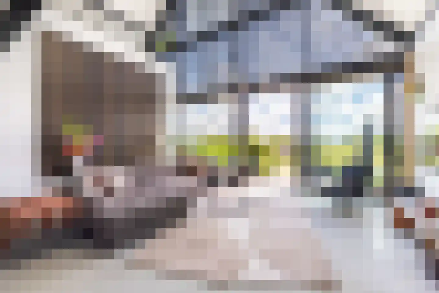 Eersteling 10 Brielle thumbnail 4