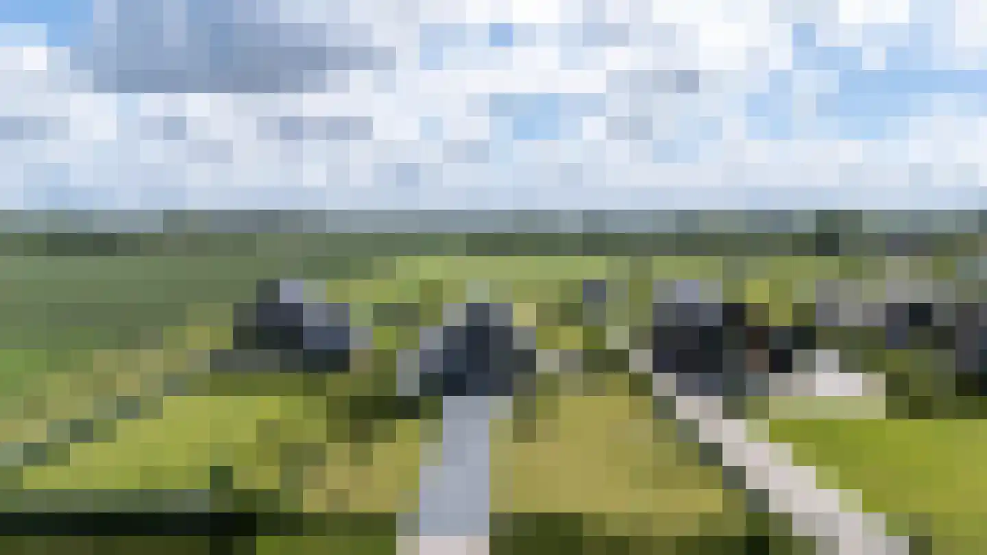 Eersteling 10 Brielle thumbnail 47