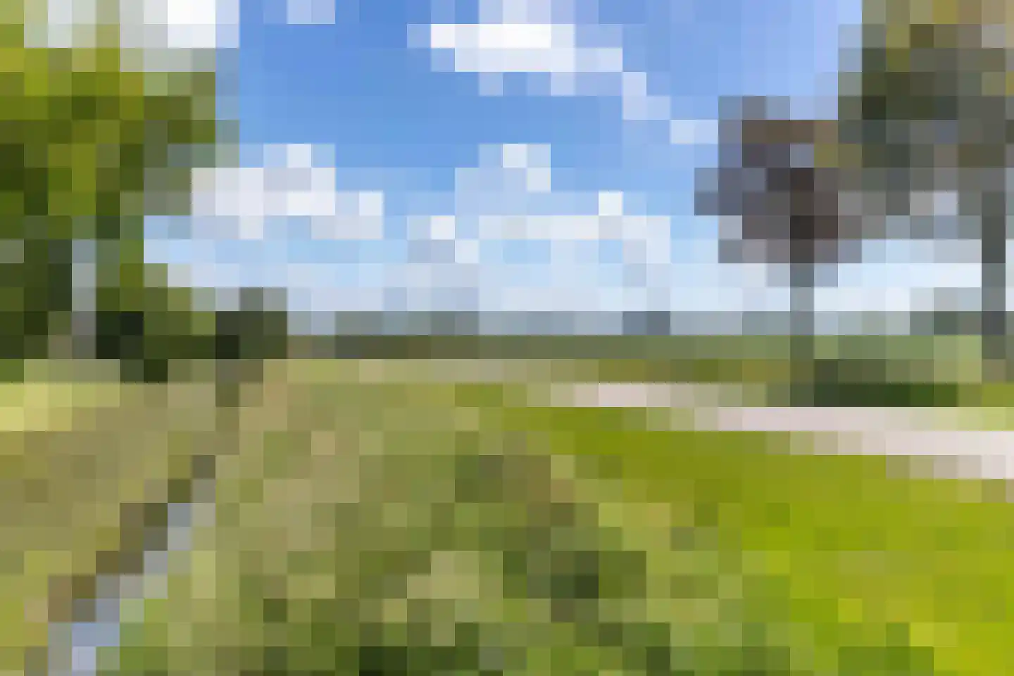 Eersteling 10 Brielle thumbnail 50