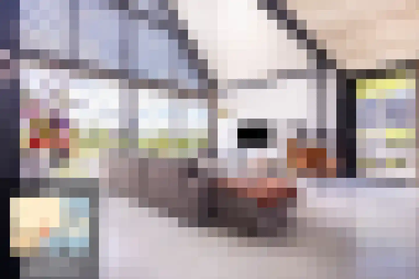Eersteling 10 Brielle thumbnail 9